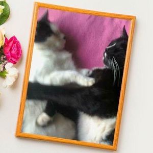 Meet your Posher, Jackie